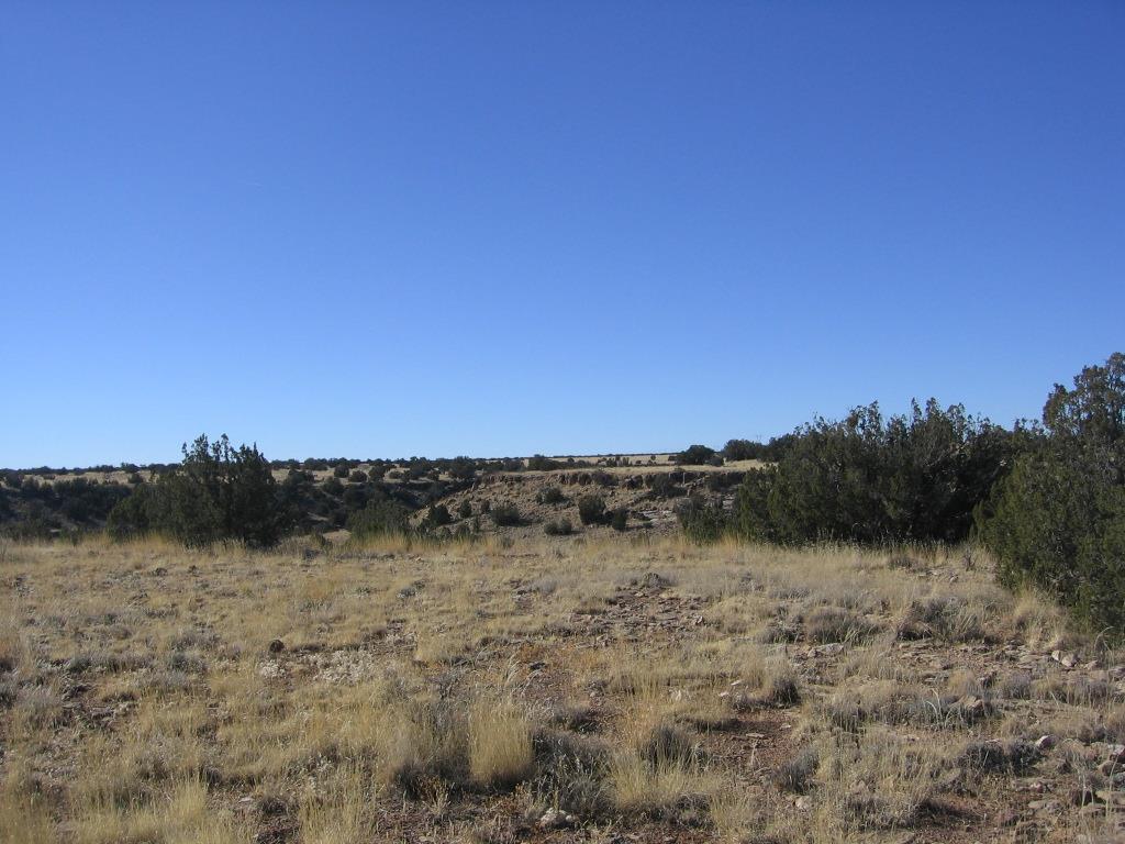 Lot 121 Chevelon Canyon Ranch Heber, AZ 85928 - Photo 10 of 14