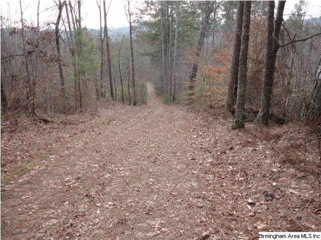 Donald Avenue, Unit 24 Attalla, AL 35954 - Photo 3 of 15