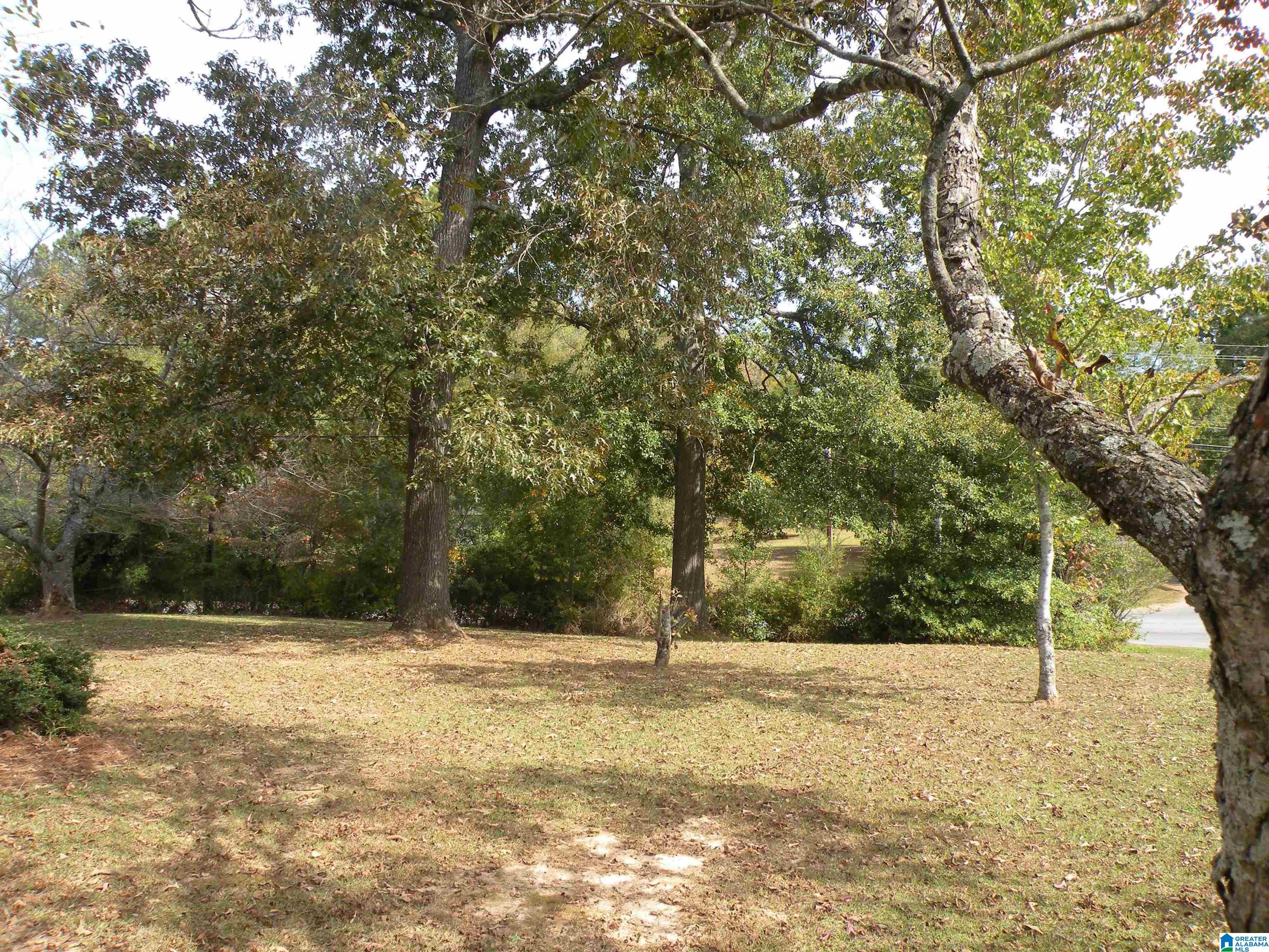 34 Forest Glen Road Sylacauga, AL 35150 - Photo 29 of 32