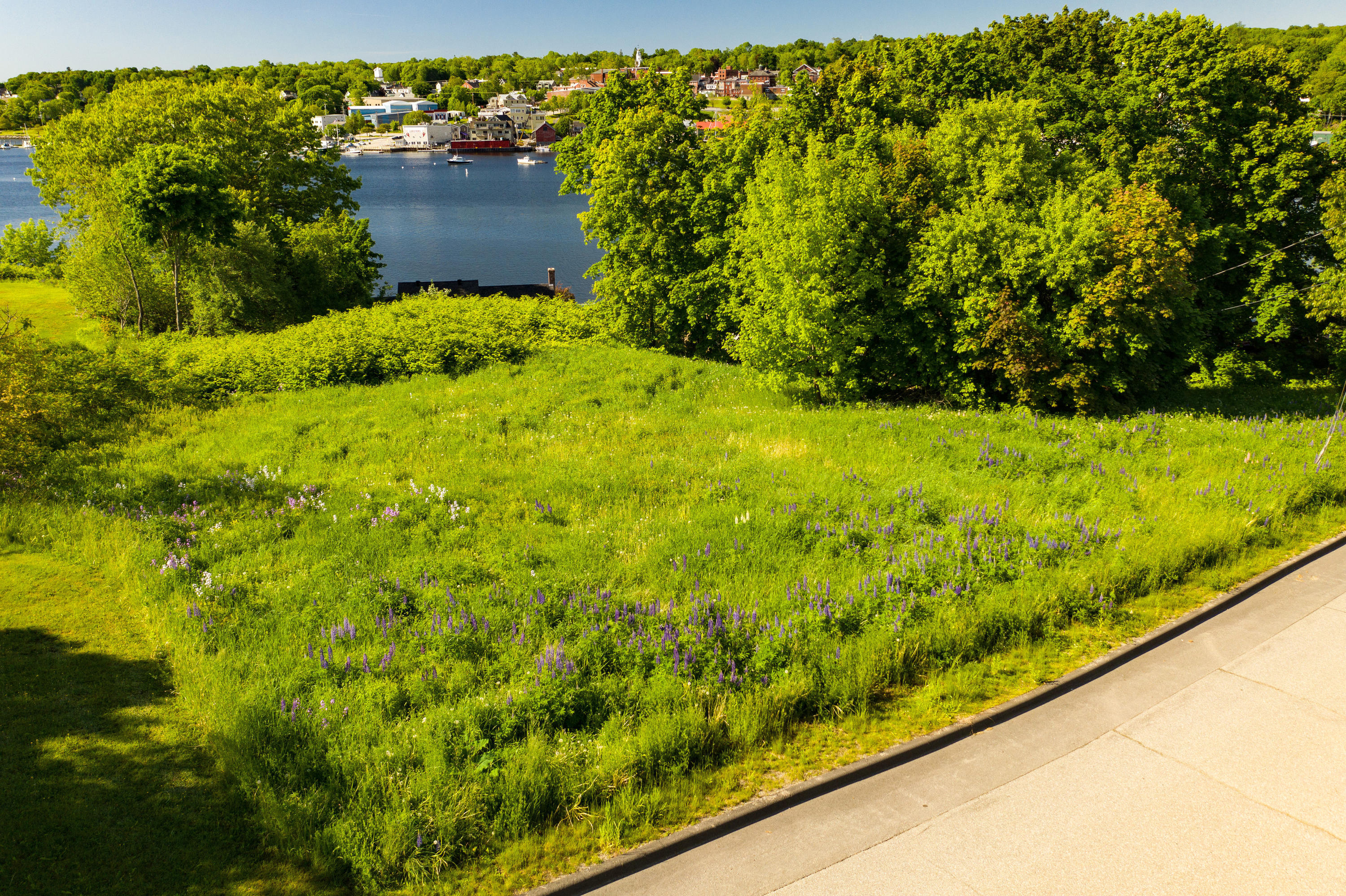 10 Footbridge Road Belfast, ME 04915 - Photo 12 of 14 DJI_02470638Elaine-10 footbridge rd