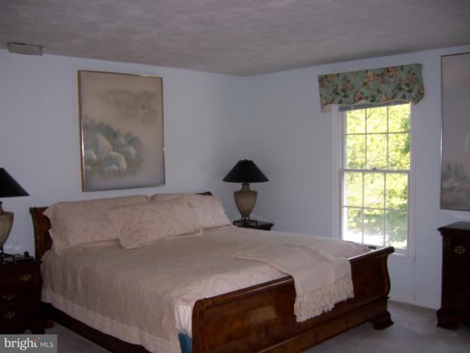 19263 Silcott Springs Road Purcellville, VA 20132 - Photo 17 of 24 Bedroom (Master)