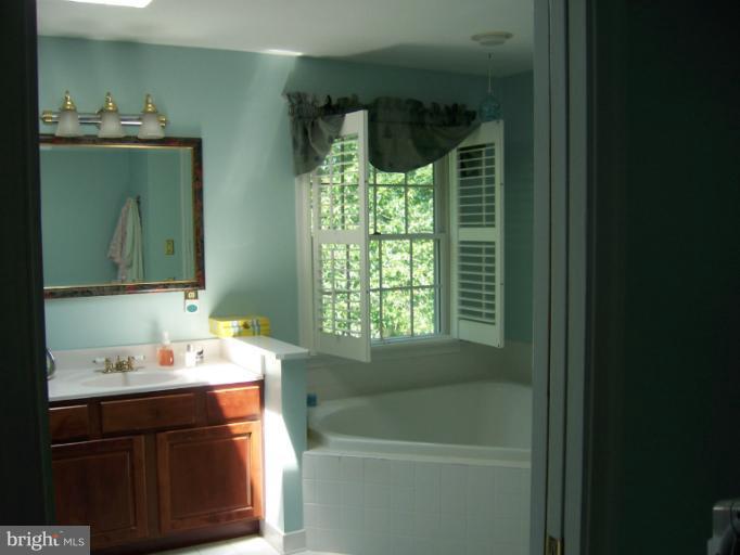 19263 Silcott Springs Road Purcellville, VA 20132 - Photo 18 of 24 Bath (Master)