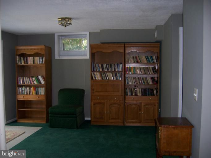 19263 Silcott Springs Road Purcellville, VA 20132 - Photo 23 of 24 Basement