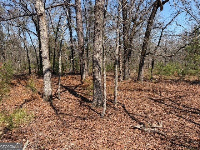 461 Currington Road Mauk, GA 31058 - Photo 13 of 30 Gallery Image 13