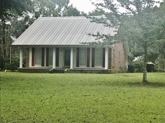 Main View