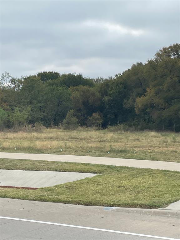 2546 Mansfield Road Cedar Hill, TX 75104 - Photo 1 of 1 a view of a lake view