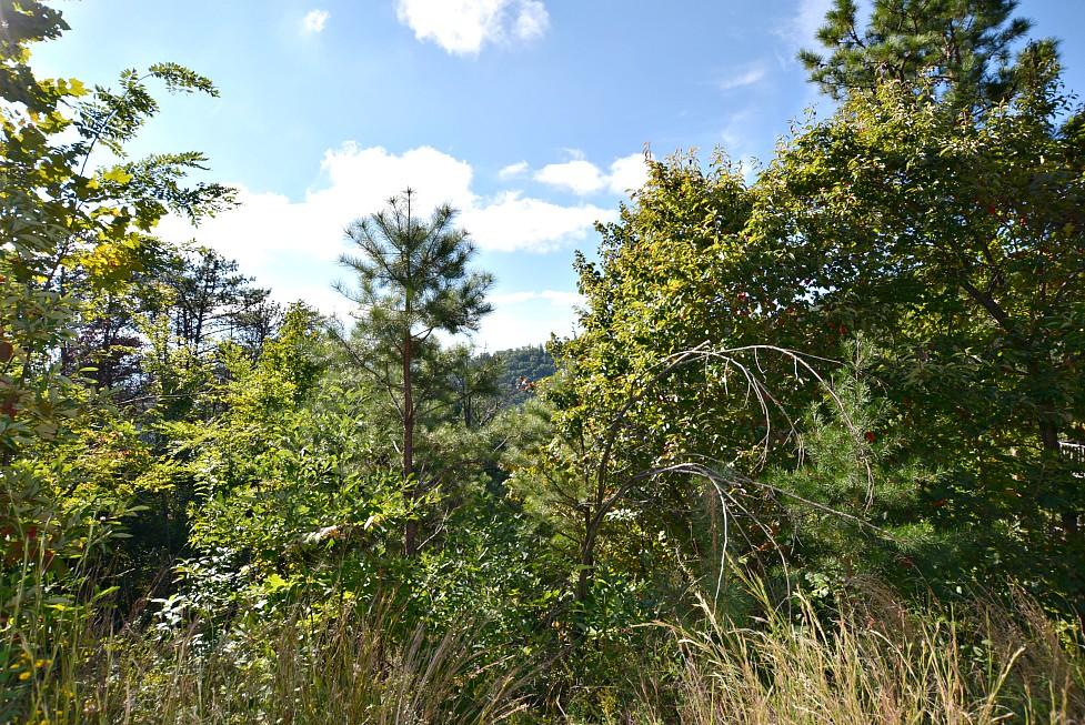 2084 Bluff Mountain Road Sevierville, TN 37876 - Photo 1 of 10 A
