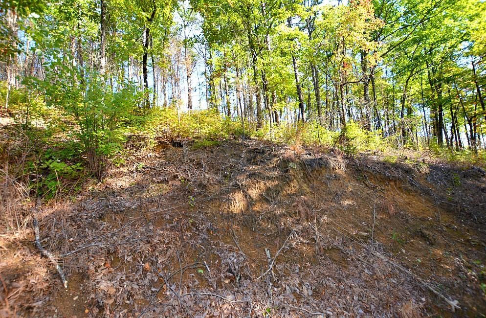 2084 Bluff Mountain Road Sevierville, TN 37876 - Photo 4 of 10 D
