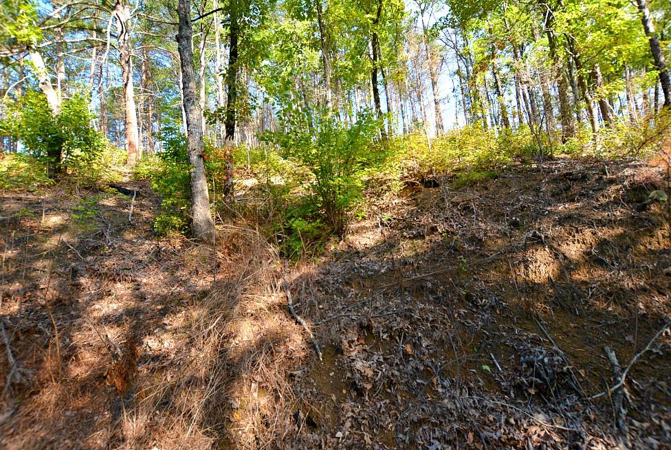 2084 Bluff Mountain Road Sevierville, TN 37876 - Photo 5 of 10 E