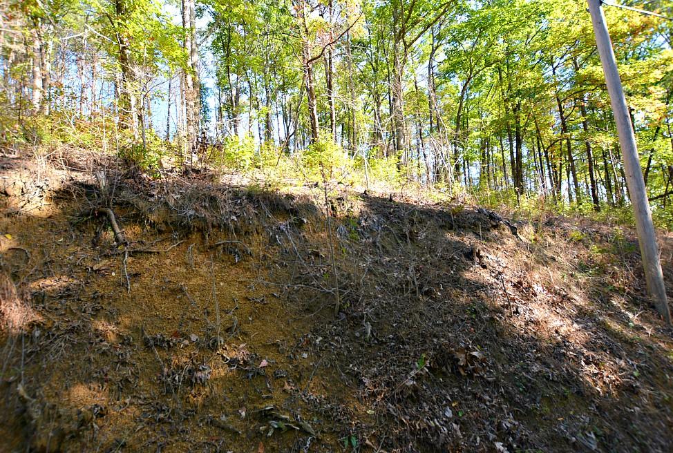 2084 Bluff Mountain Road Sevierville, TN 37876 - Photo 6 of 10 F