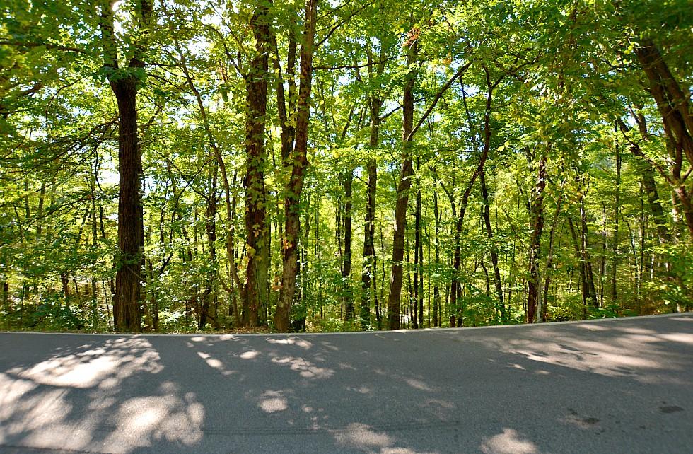 2084 Bluff Mountain Road Sevierville, TN 37876 - Photo 7 of 10 G