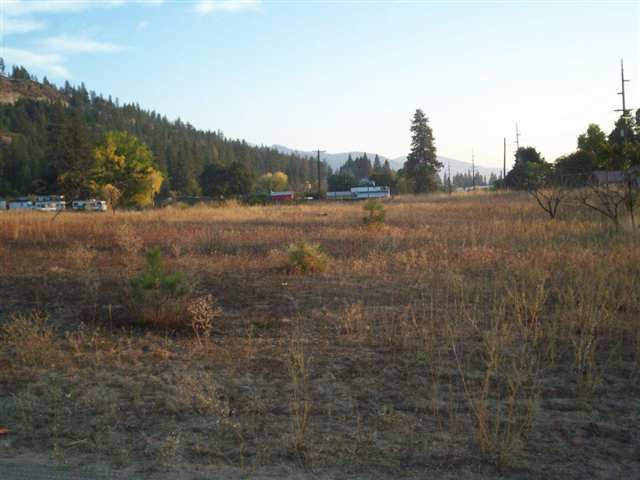Lot 5 Peachcrest Road Kettle Falls, WA 99141 - Photo 1 of 4 Gallery Image 1