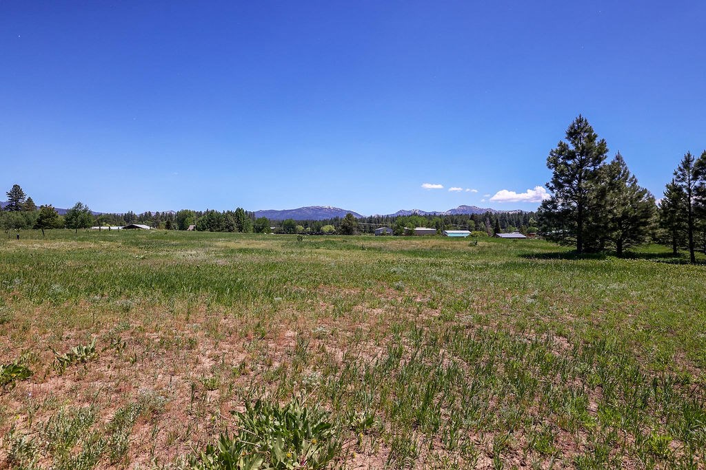 Tbd Krahn Lane McCall, ID 83638 - Photo 12 of 37