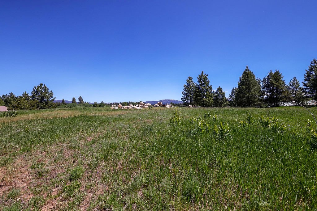 Tbd Krahn Lane McCall, ID 83638 - Photo 6 of 37