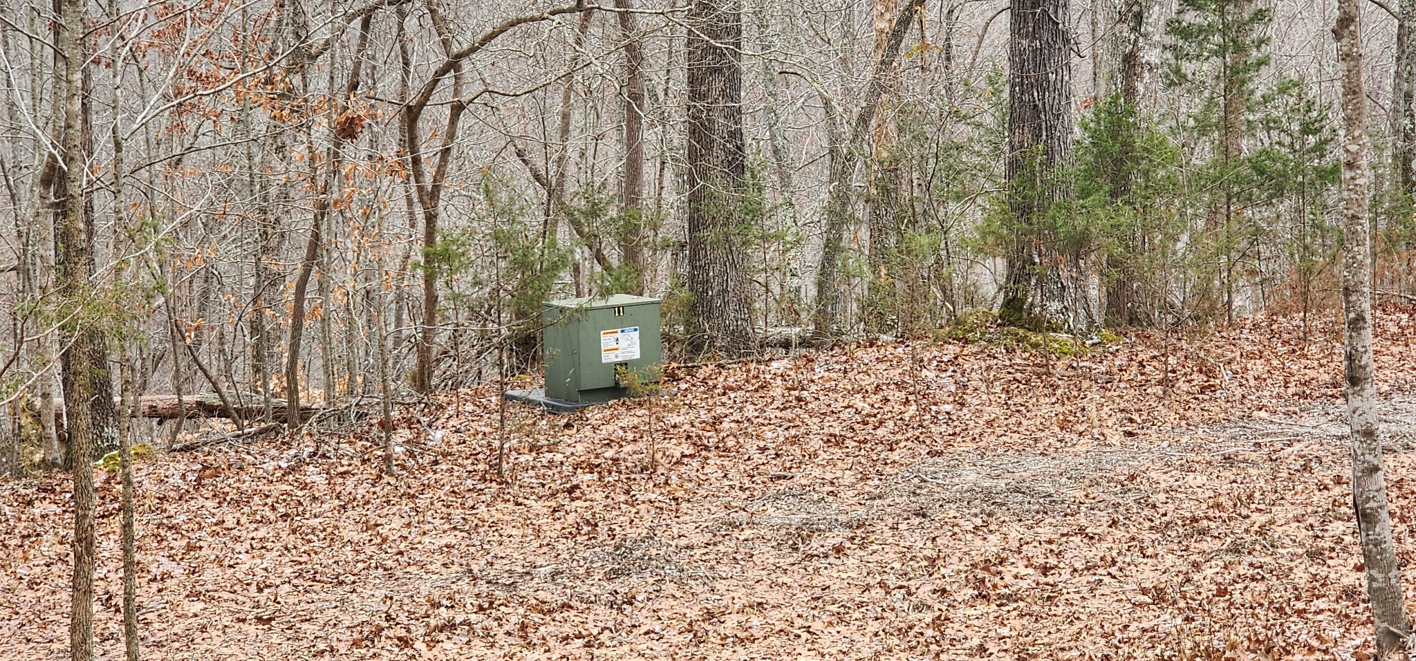 0 Macgregor Place Sparta, TN 38583 - Photo 5 of 9 a view of a backyard of the house