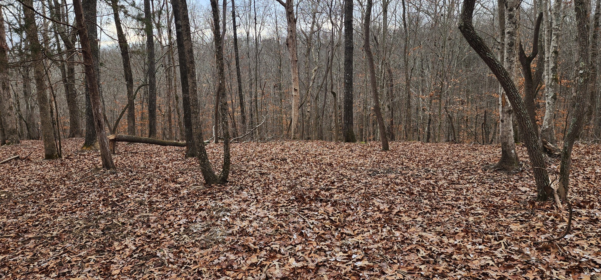 0 Macgregor Place Sparta, TN 38583 - Photo 6 of 9 a view of wooden fence