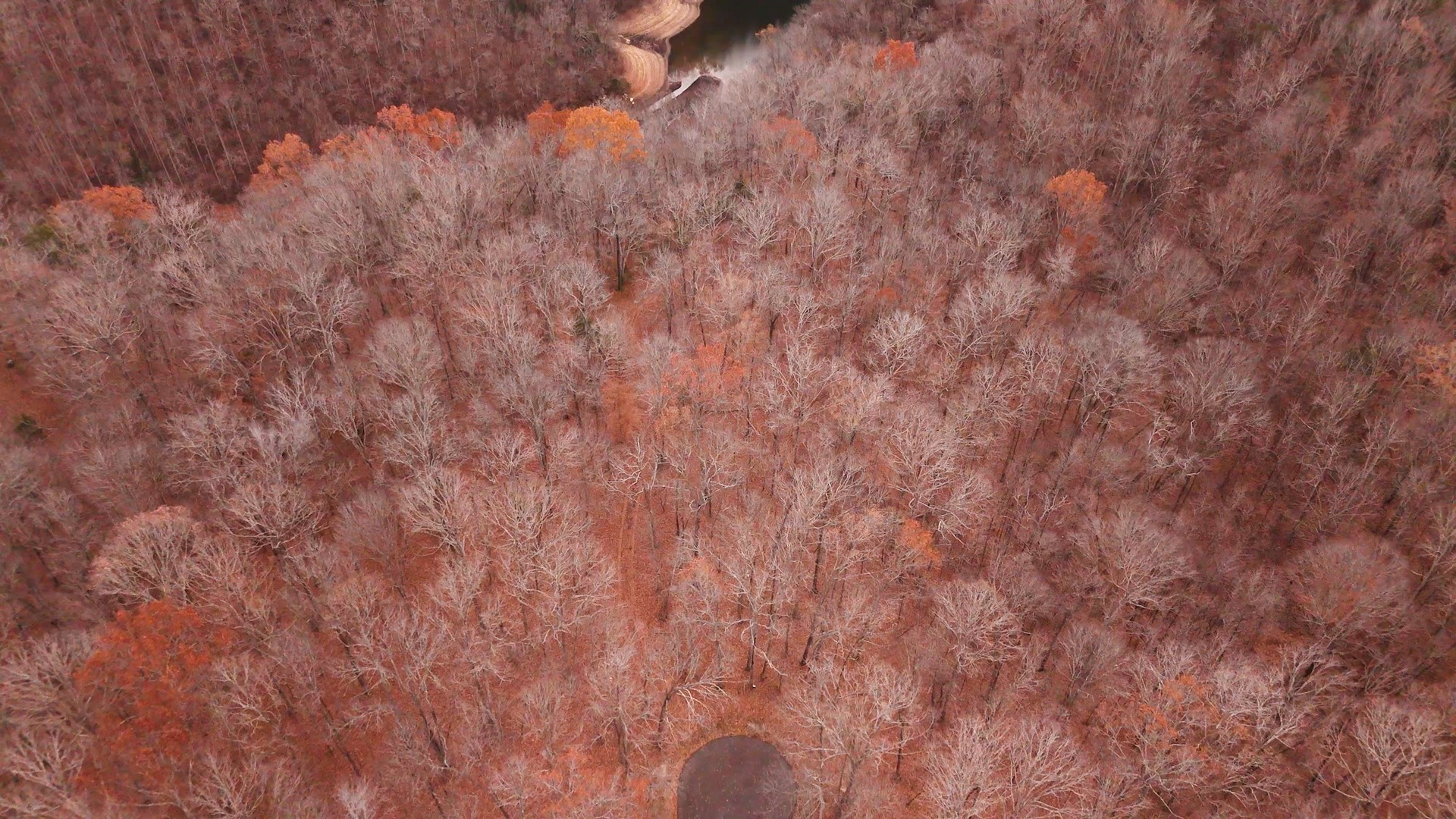 0 Macgregor Place Sparta, TN 38583 - Photo 8 of 9 a view of a dry yard