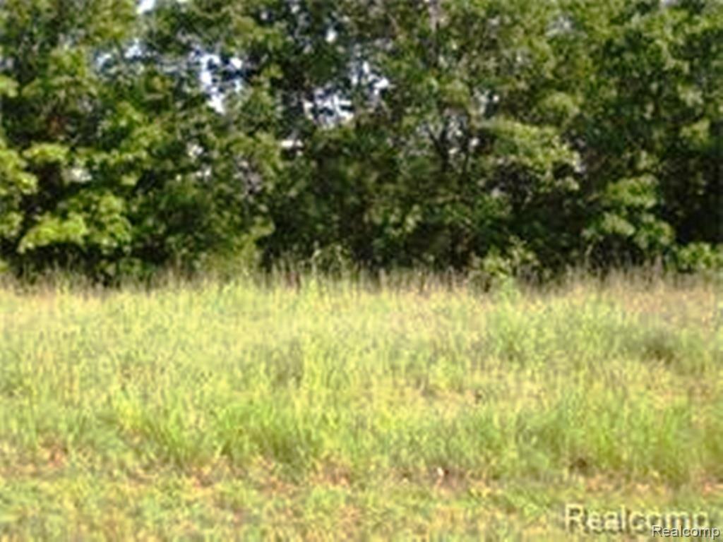 0 Boulderwood Ridge Clarkston, MI 48348 - Photo 1 of 3