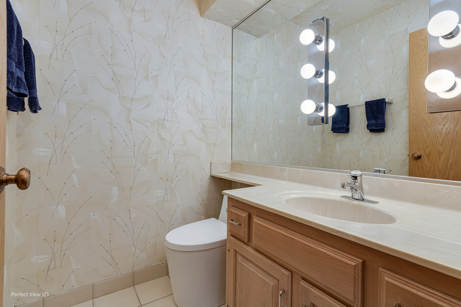 1020 Deerfield Road Highland Park, IL 60035 - Photo 10 of 29 a bathroom with a sink a toilet and mirror