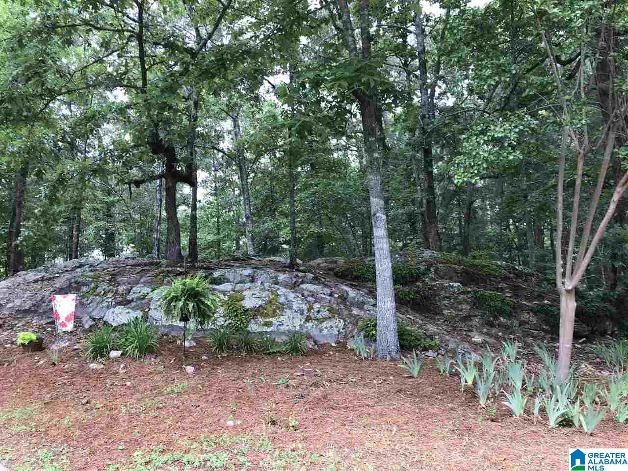 430 Timber Trail Chelsea, AL 35043 - Photo 3 of 36