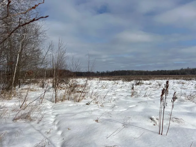 $449,900 | Tbd Ivory Street, Isle, MN 56342