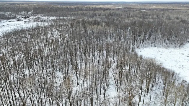 $449,900 | Tbd Ivory Street, Isle, MN 56342