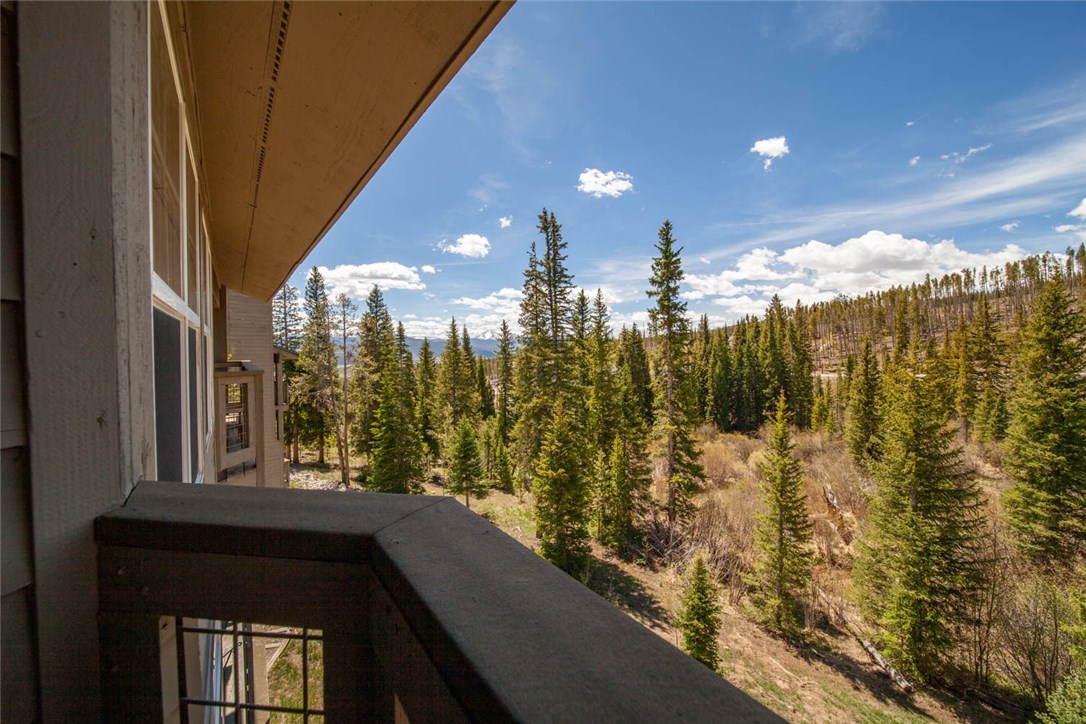 91399 Ryan Gulch Road, Unit B2 Silverthorne, CO 80498 - Photo 11 of 27 Gallery Image 11
