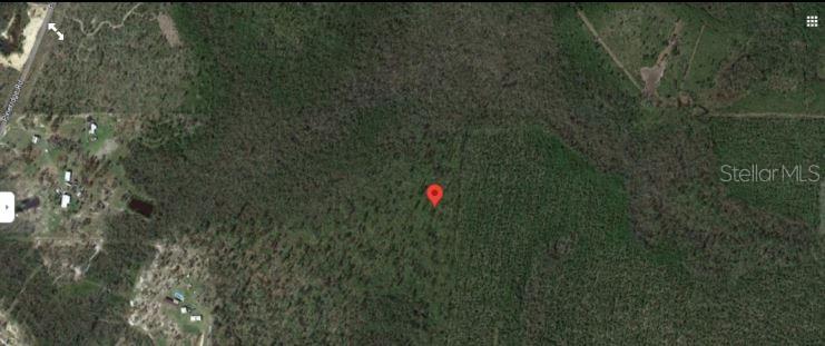 12241 Pineridge Road Fountain, FL 32438 - Photo 3 of 6 a backyard of a house with lots of green space and trees all around