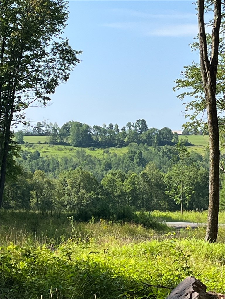 View from the cleared building lot