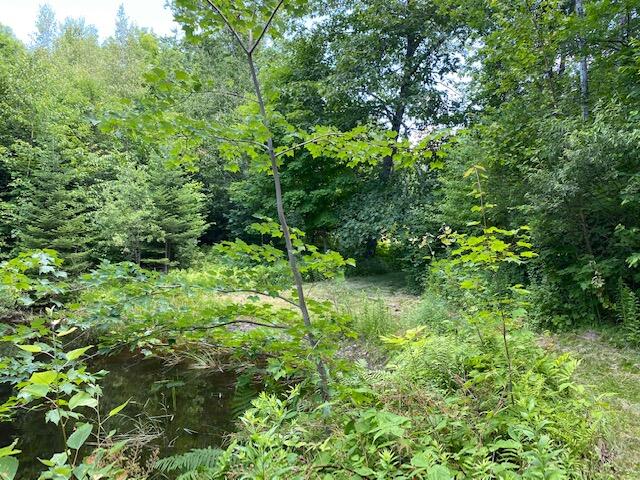 356 Page Road Jackson, ME 04921 - Photo 58 of 74 IMG_9305