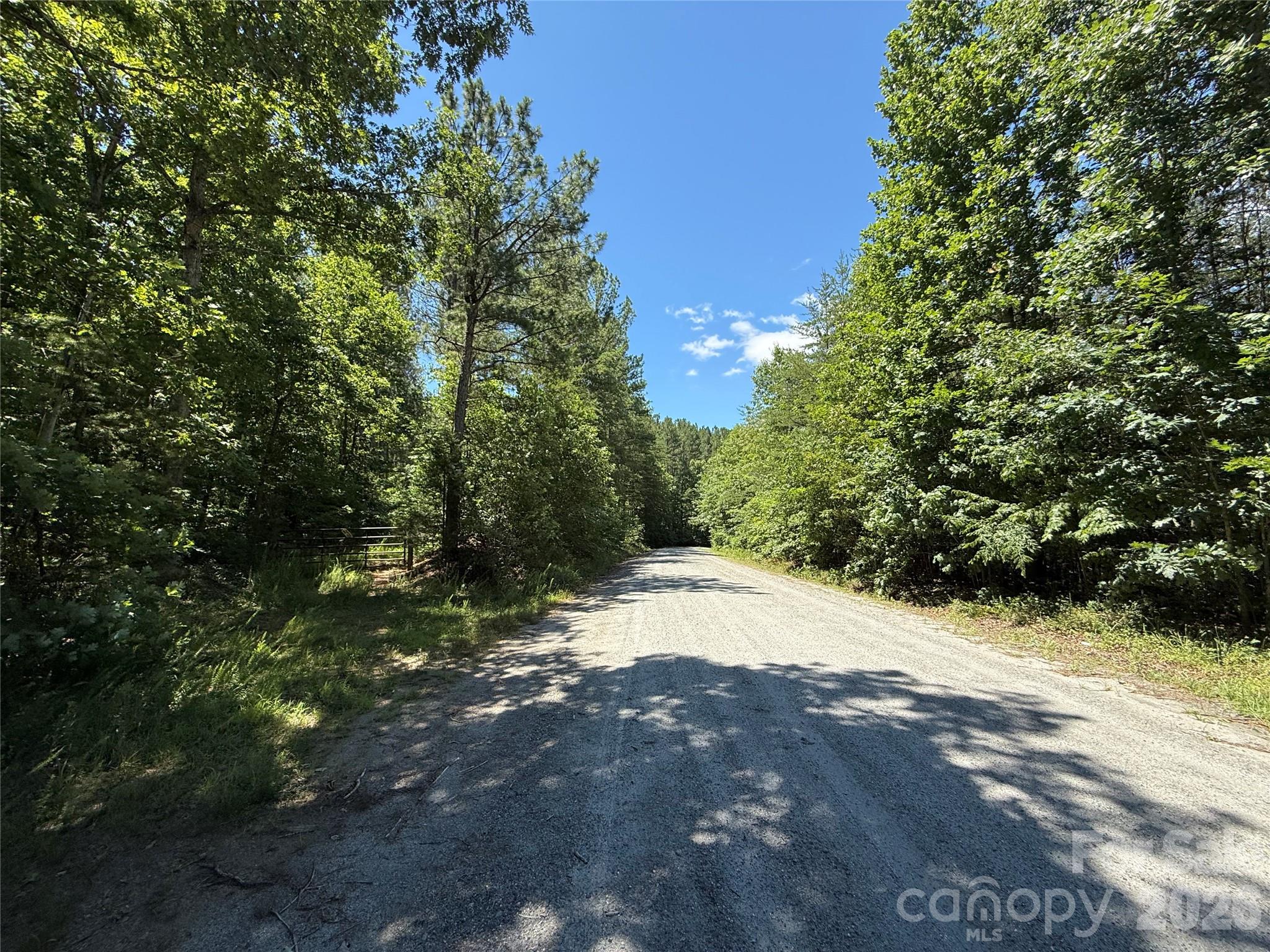 99999 Thompson Lake Road Rutherfordton, NC 28139 - Photo 10 of 24