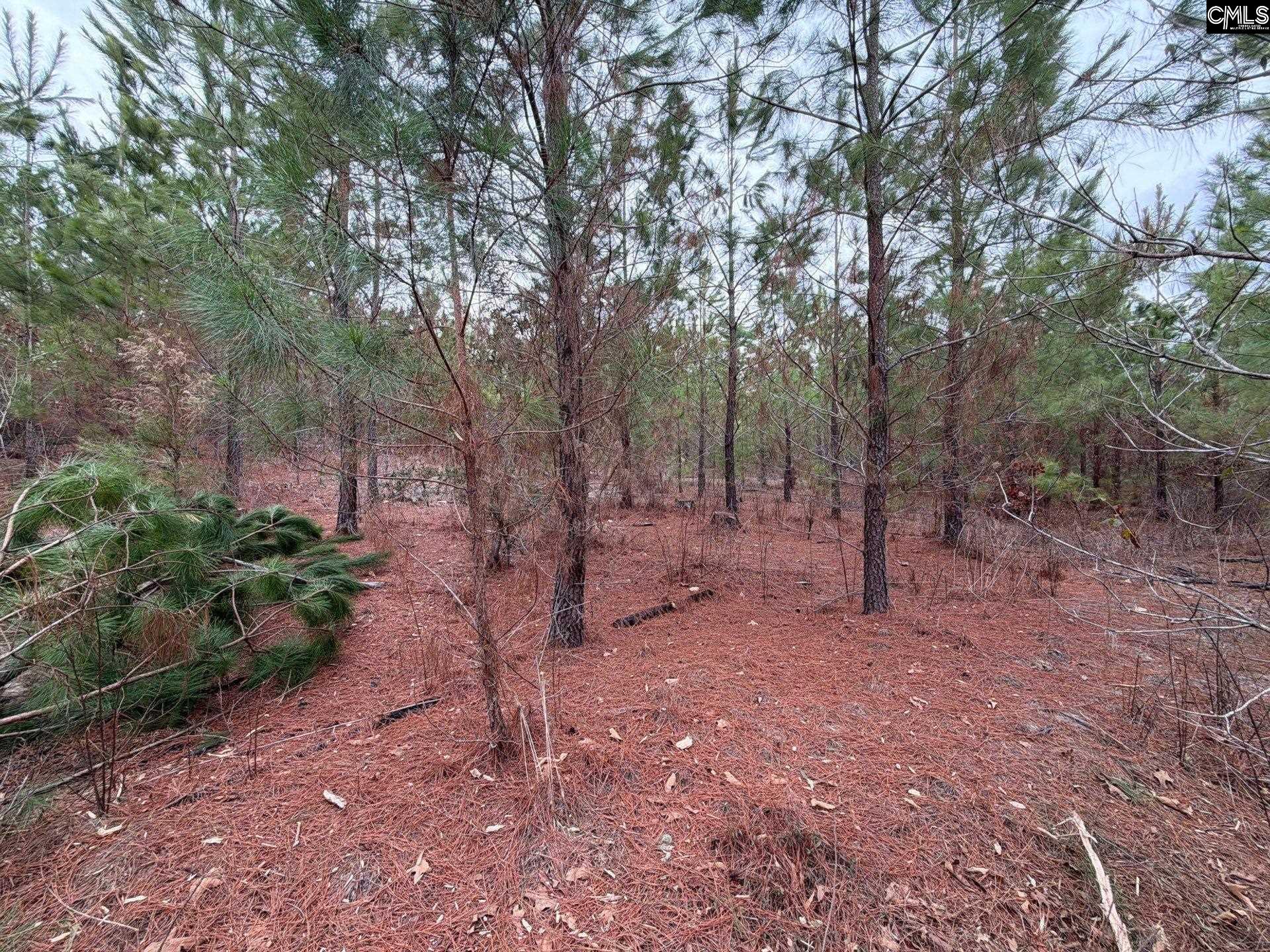 4 Jc Barefoot Road, Unit BFF II 4 Patrick, SC 29584 - Photo 28 of 32