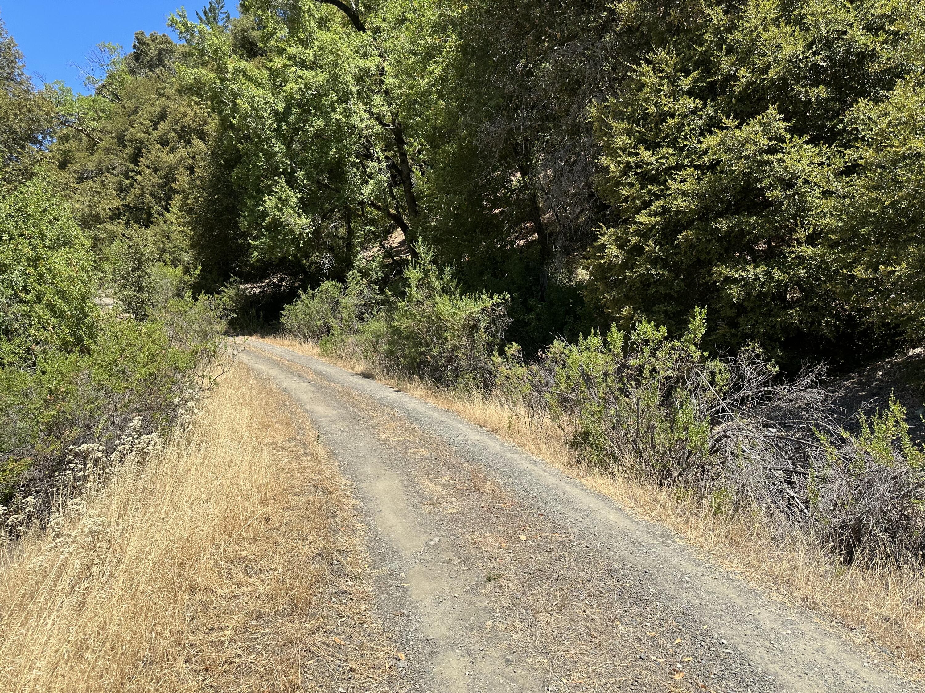 No Address No Address Road Miranda, CA 95553 - Photo 11 of 45
