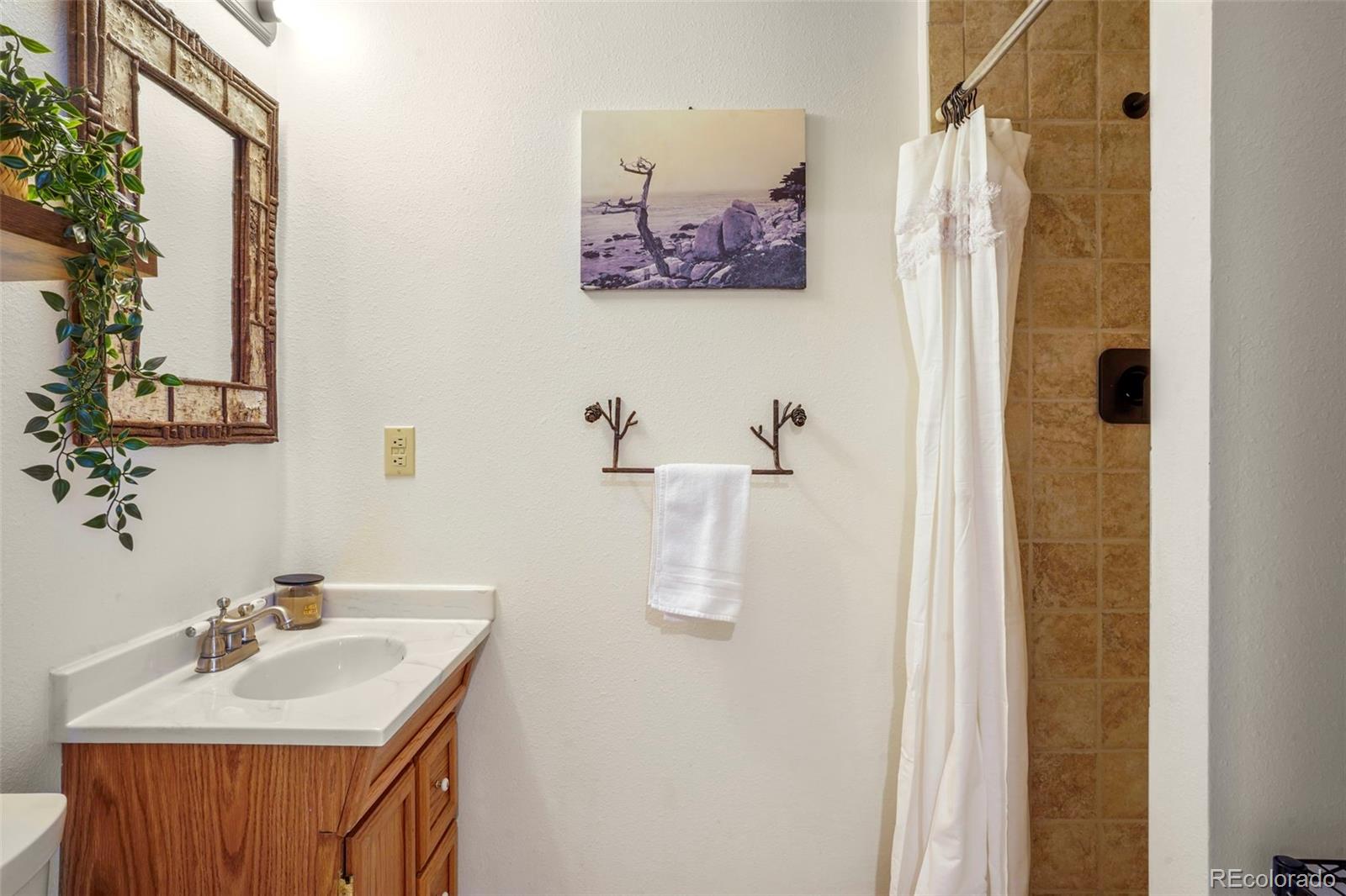 25756 Zugspitz Road Evergreen, CO 80439 - Photo 28 of 43 a bathroom with a sink mirror and vanity
