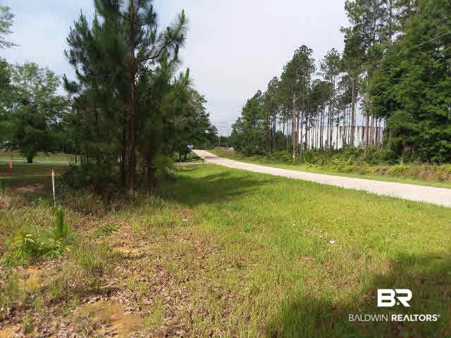 0 Roberts Road Chunchula, AL 36521 - Photo 7 of 7