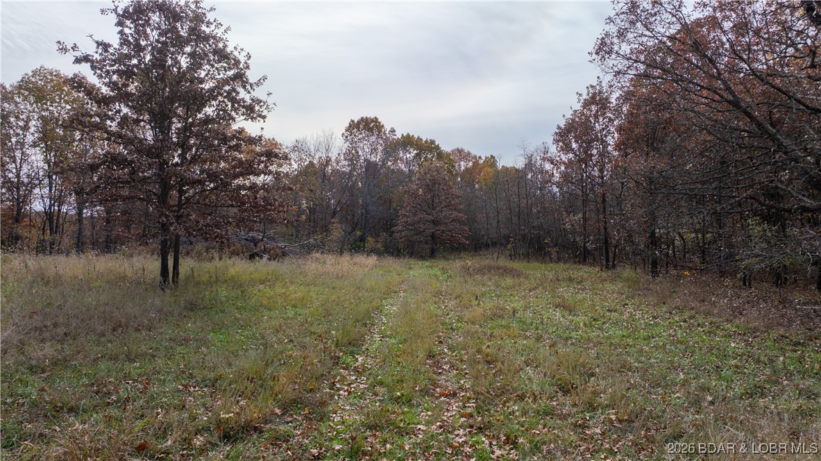 53-acres Buckridge Road Climax Springs, MO 65324 - Photo 11 of 55