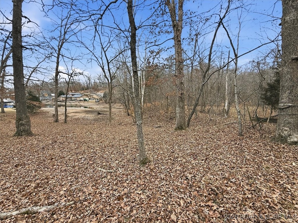 53-acres Buckridge Road Climax Springs, MO 65324 - Photo 12 of 55