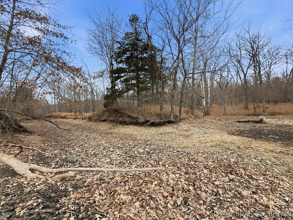 53-acres Buckridge Road Climax Springs, MO 65324 - Photo 13 of 55