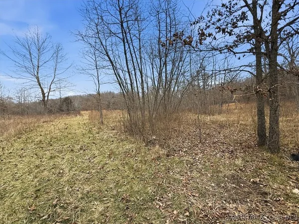 $299,900 | 53-acres Buckridge Road, Climax Springs, MO 65324