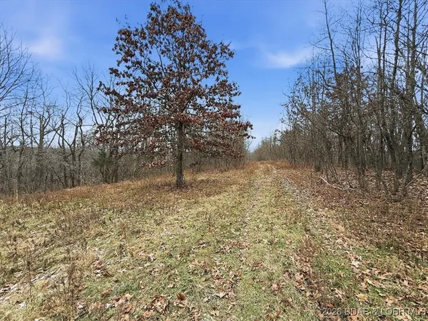 $299,900 | 53-acres Buckridge Road, Climax Springs, MO 65324