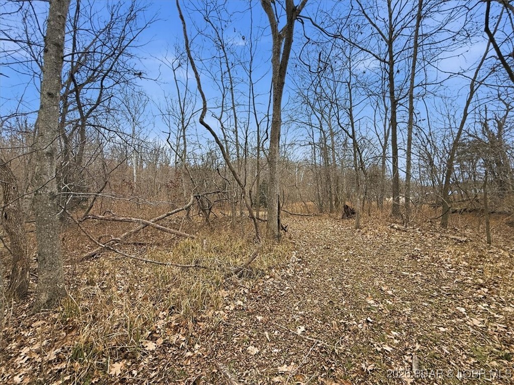 53-acres Buckridge Road Climax Springs, MO 65324 - Photo 16 of 55