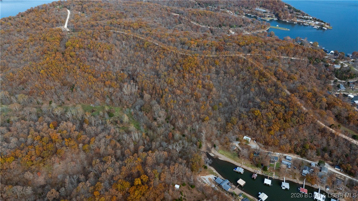 53-acres Buckridge Road Climax Springs, MO 65324 - Photo 17 of 55
