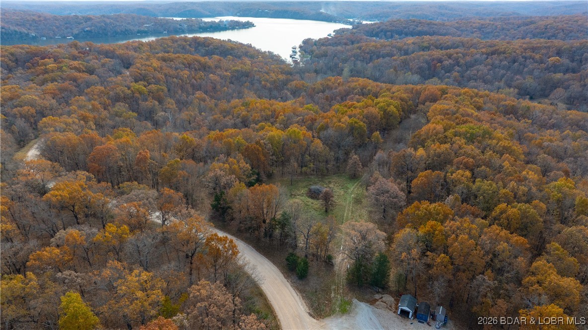 53-acres Buckridge Road Climax Springs, MO 65324 - Photo 18 of 55