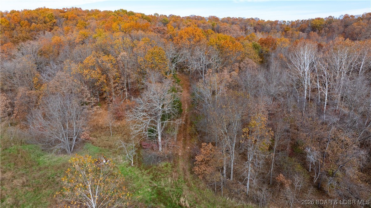 53-acres Buckridge Road Climax Springs, MO 65324 - Photo 19 of 55