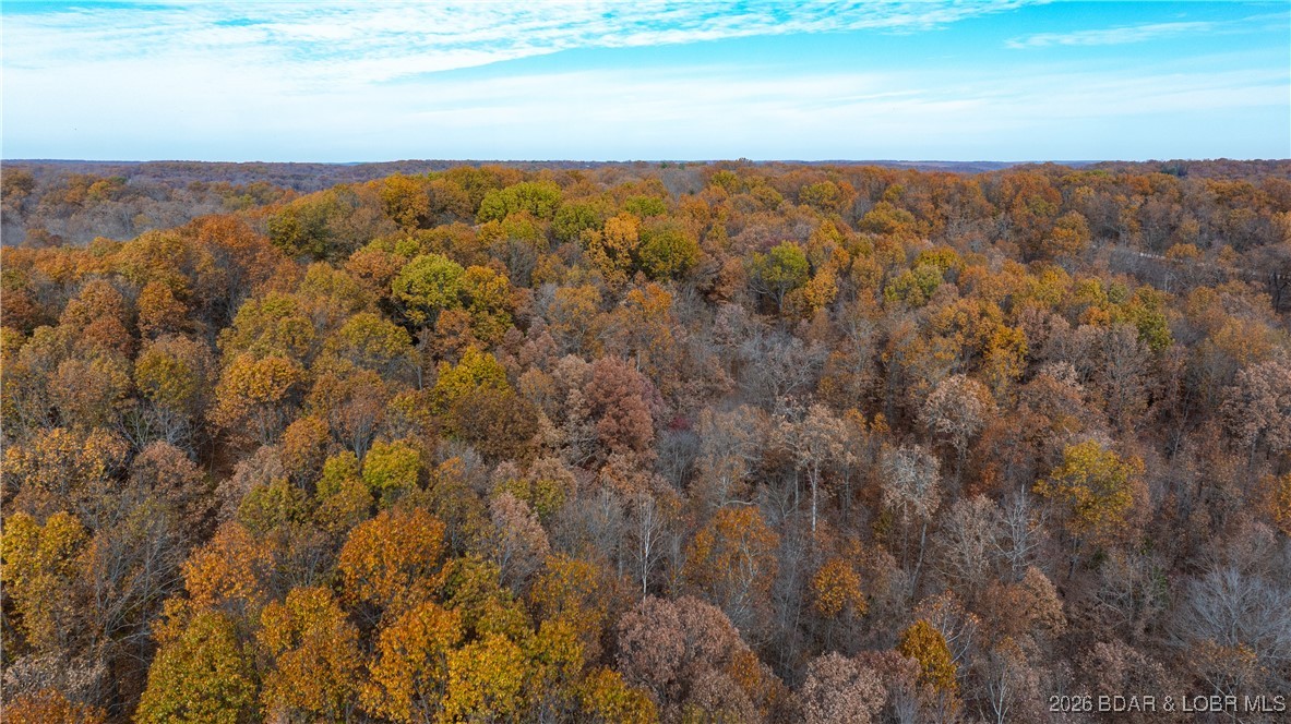 53-acres Buckridge Road Climax Springs, MO 65324 - Photo 20 of 55