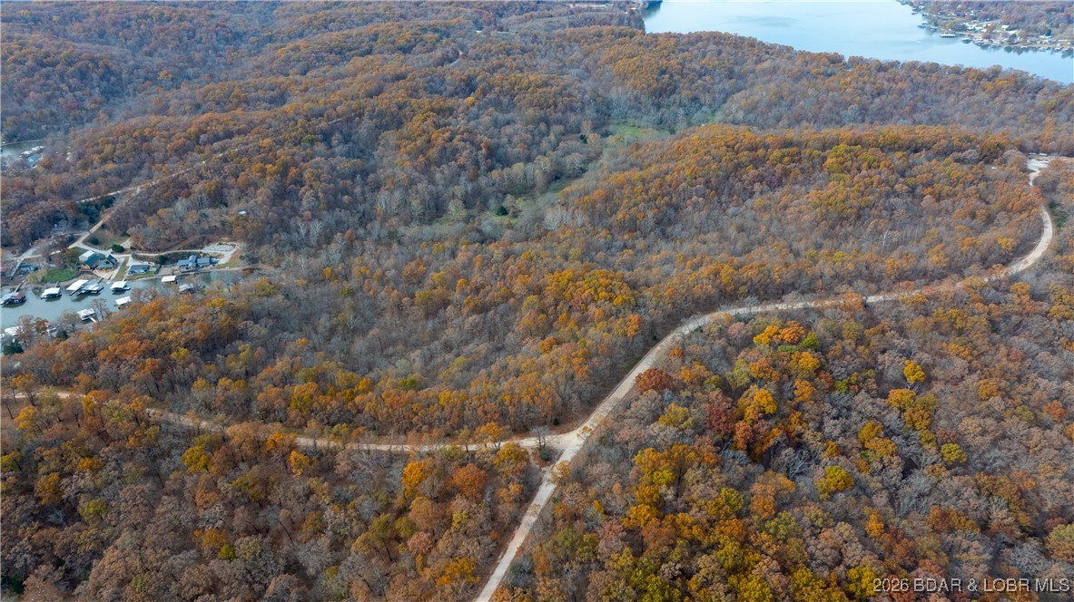 53-acres Buckridge Road Climax Springs, MO 65324 - Photo 21 of 55