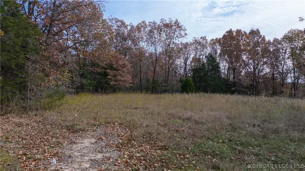 $299,900 | 53-acres Buckridge Road, Climax Springs, MO 65324