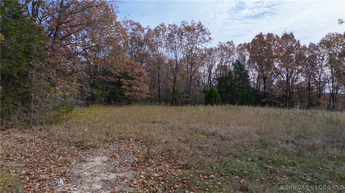 53-acres Buckridge Road Climax Springs, MO 65324 - Photo 22 of 55