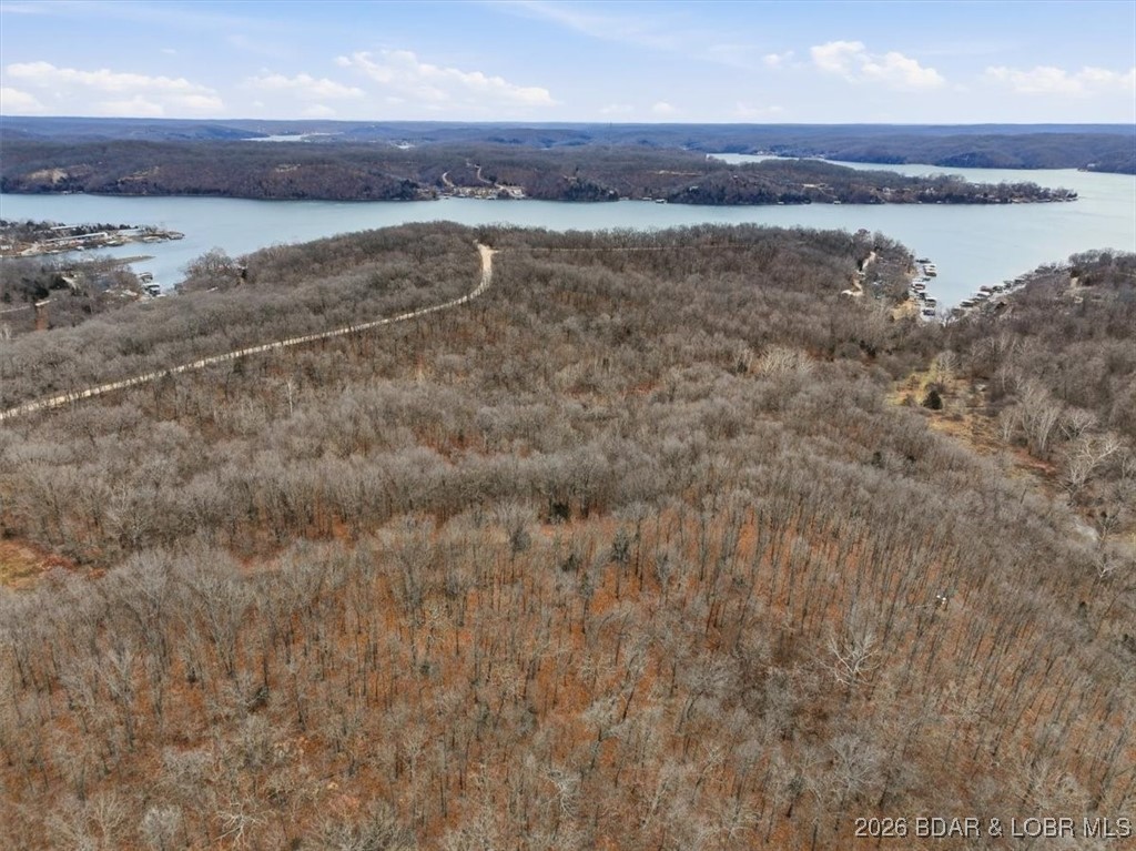 53-acres Buckridge Road Climax Springs, MO 65324 - Photo 23 of 55