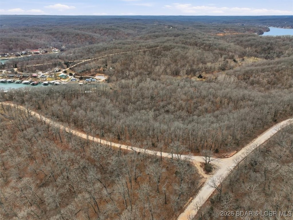 53-acres Buckridge Road Climax Springs, MO 65324 - Photo 25 of 55